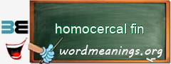 WordMeaning blackboard for homocercal fin